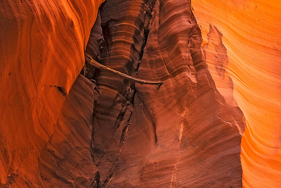 Canyon X 05588c