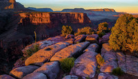 Toroweap, North Rim, Grand Canyon 05422