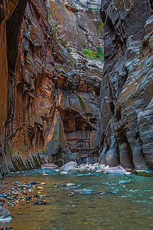 Zion Narrows 04778
