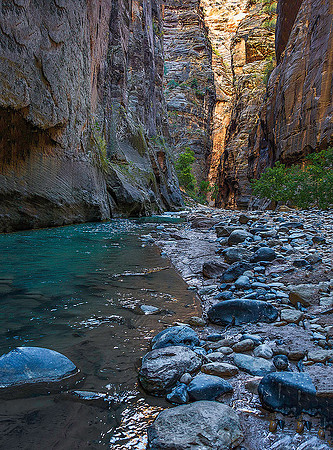 Zion Narrows04709