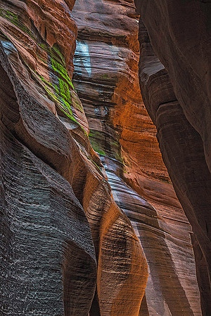 Upper Buckskin Gulch 06084