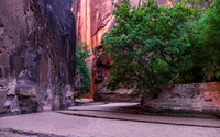 Lower Buckskin Gulch 05477