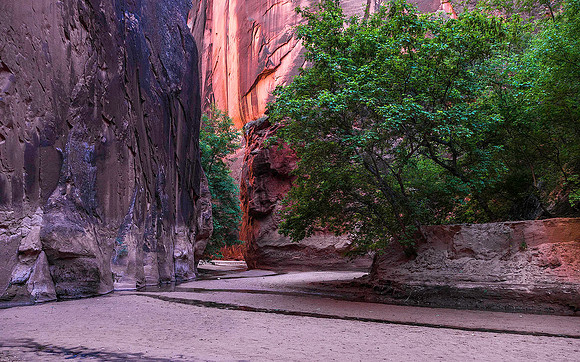 Lower Buckskin Gulch 05477