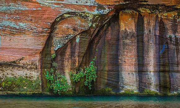Parunuweap Canyon 9036