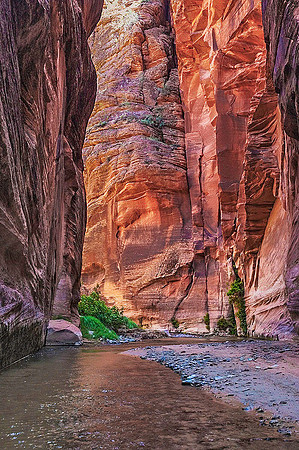 Parunuweap Canyon 9065