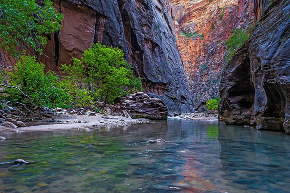 Zion Narrows 04699