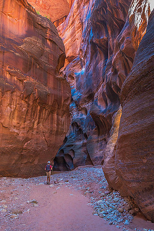 Upper Buckskin Gulch 06028