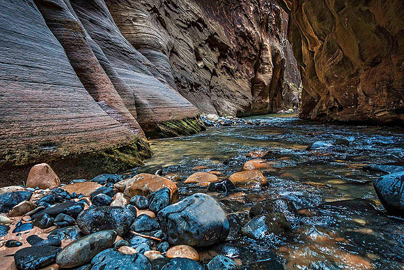Zion Narrows 04773