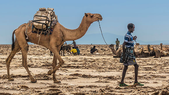Danakil Salt 07289
