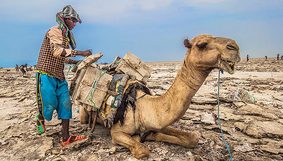 Danakil Salt 07288