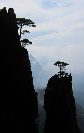 Huangshan ("Yellow Mountains") 0281