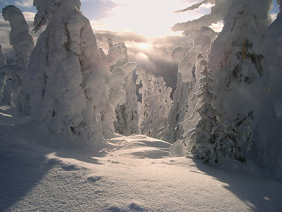 Kootenay, British Columbia 2037