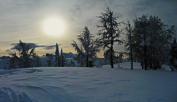 Kootenay, British Columbia 4923