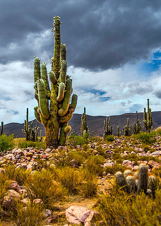 Humahuaca 8221