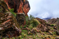 Enchanted Valley, Los Cardones National Park 8544
