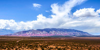 Los Cardones National Park 8568