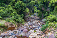 Calilegua National Park 8062