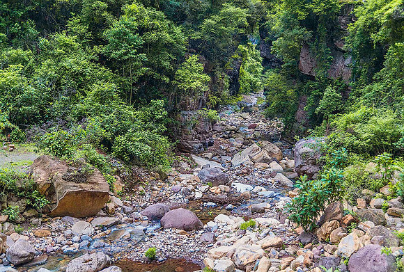 Calilegua National Park 8062