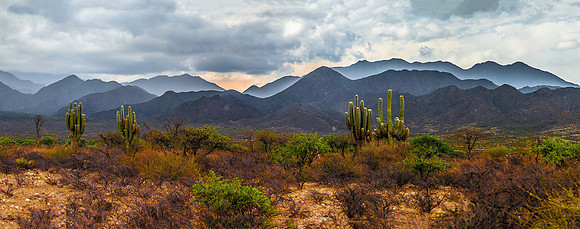 Las Conchas Canyon 8586merge