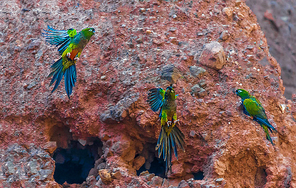 Cafayate Canyon 8725