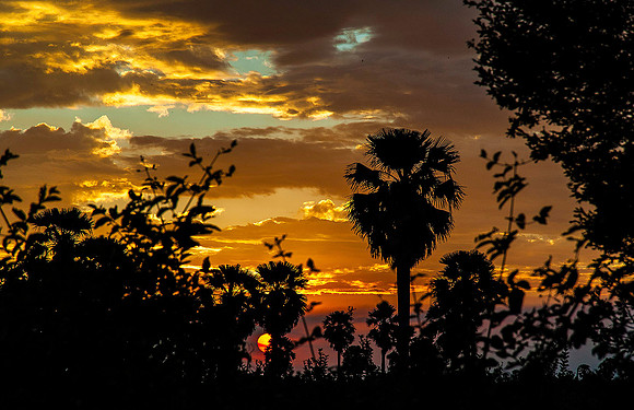 Sunset from Impala Camp, Selous 1653