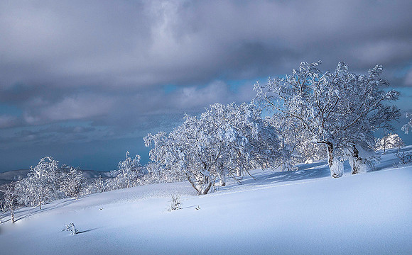 Niseko, Hokkaido 05119