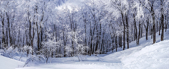 Hakuba Cortina, Hokkaido 05154merge