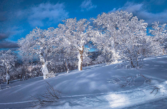 Niseko, Hokkaido 05136