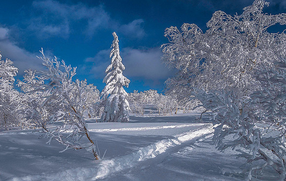 Niseko, Hokkaido 05135