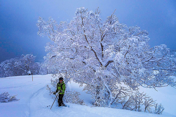 Niseko, Hokkaido 05107