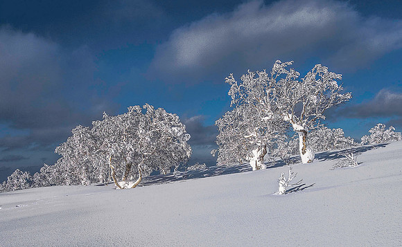 Niseko, Hokkaido 05130