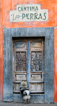 Cantina las Perras (Female Dog Saloon) (this is trompe l'oeil, not a real door) 1711