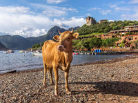 Girolata 3217