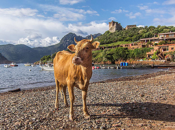 Girolata 3217