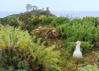 Near Ajaccio 3037