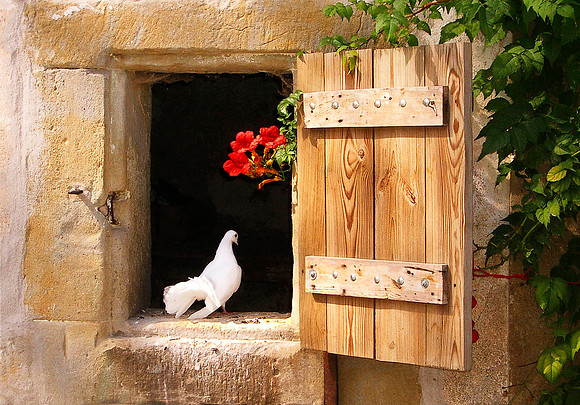 France, near Pyrenees 1