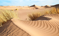 Sahara Desert 0820