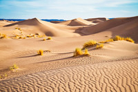 Sahara Desert 0813