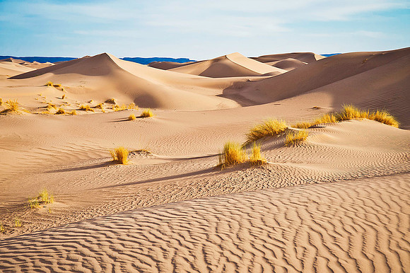 Sahara Desert 0813