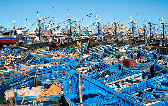 Essaouira 1069