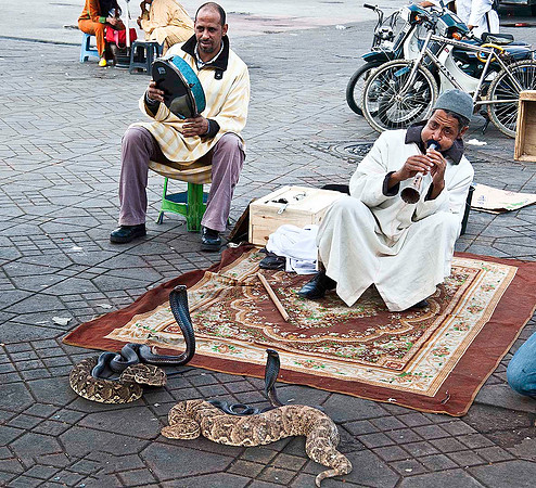 Marrakesh 1011