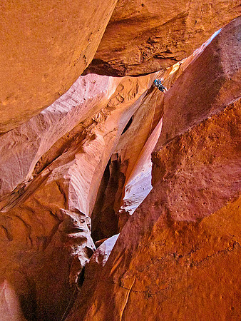 Constrychnine Canyon 1767