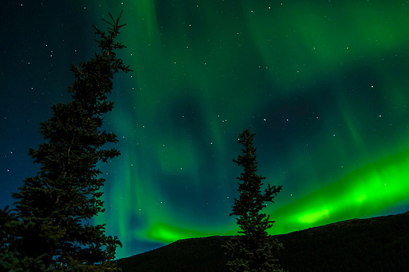 Aurora Borealis, Denali National Park 6368