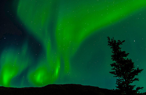 Aurora Borealis, Denali National Park 6370