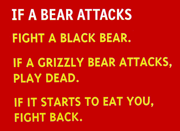 Bear Warning Sign, not kidding, Denali National Park 4861