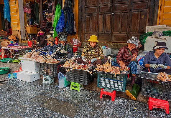 Hoi An08239