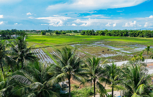 Hoi An08297