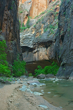 Zion Narrows, Virgin River 9152