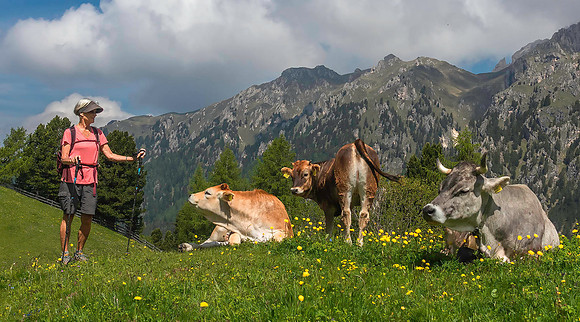 Val de Funes07657