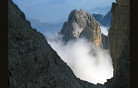 Brenta 4659